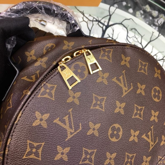 LV palm springs backpack mm monogram canvas M41561